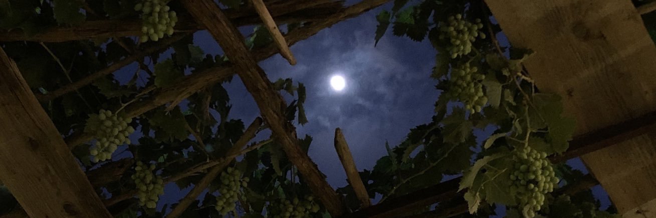 زياد بن زايد الزهراني banner