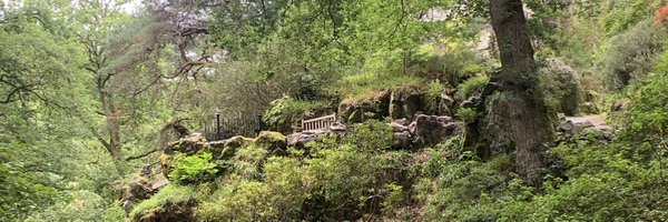 SamHBooth Profile Banner