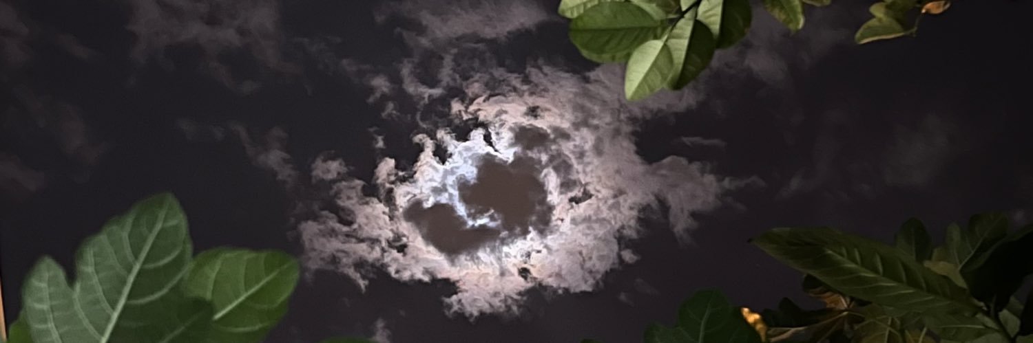 zahraanooh's profile banner image
