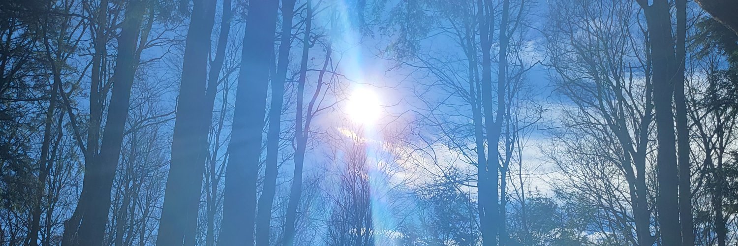 caseystarr's profile banner image