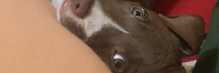 BskYoleri's profile banner image