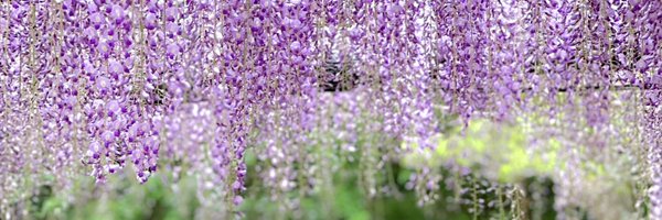 emk_iwmt Profile Banner