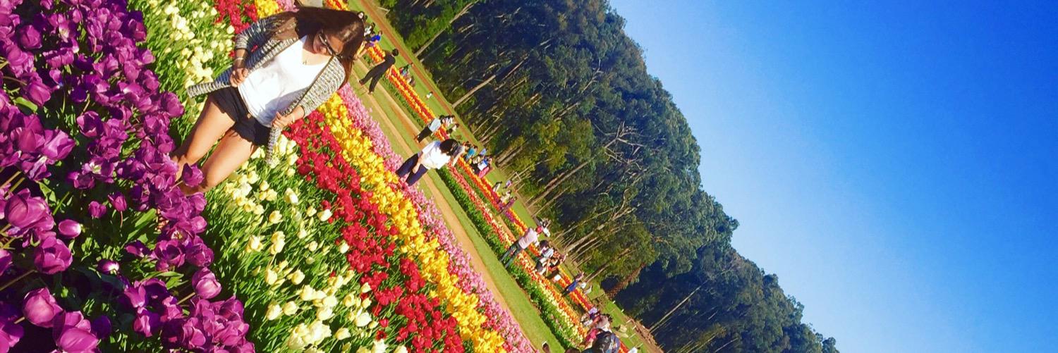 Jen De Guzman banner