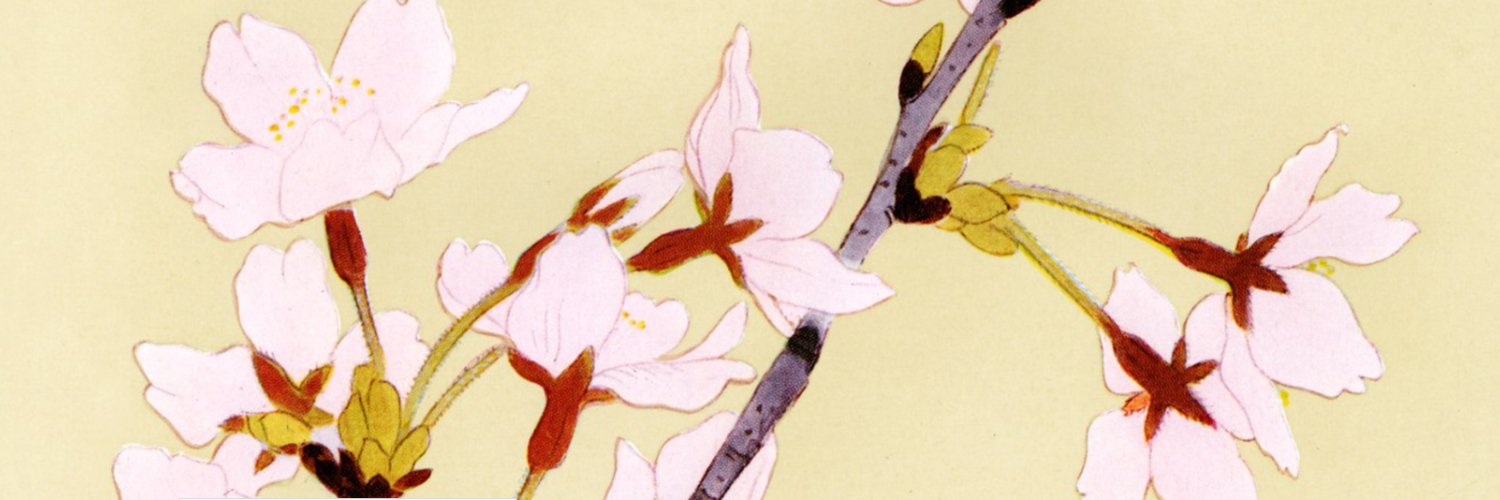 Ariel Plotnick banner