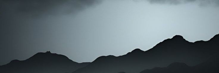 S2Dog's profile banner image