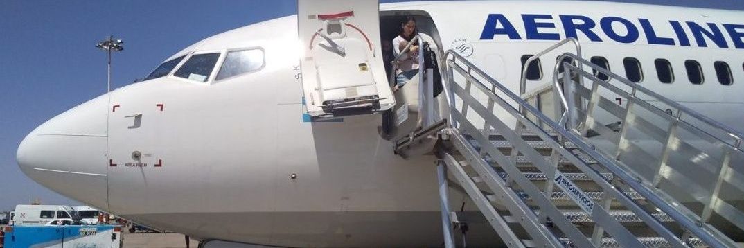 日々の泡のような無駄な努力 banner