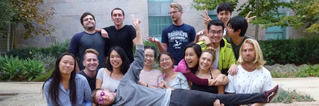 Diaconescu Group banner