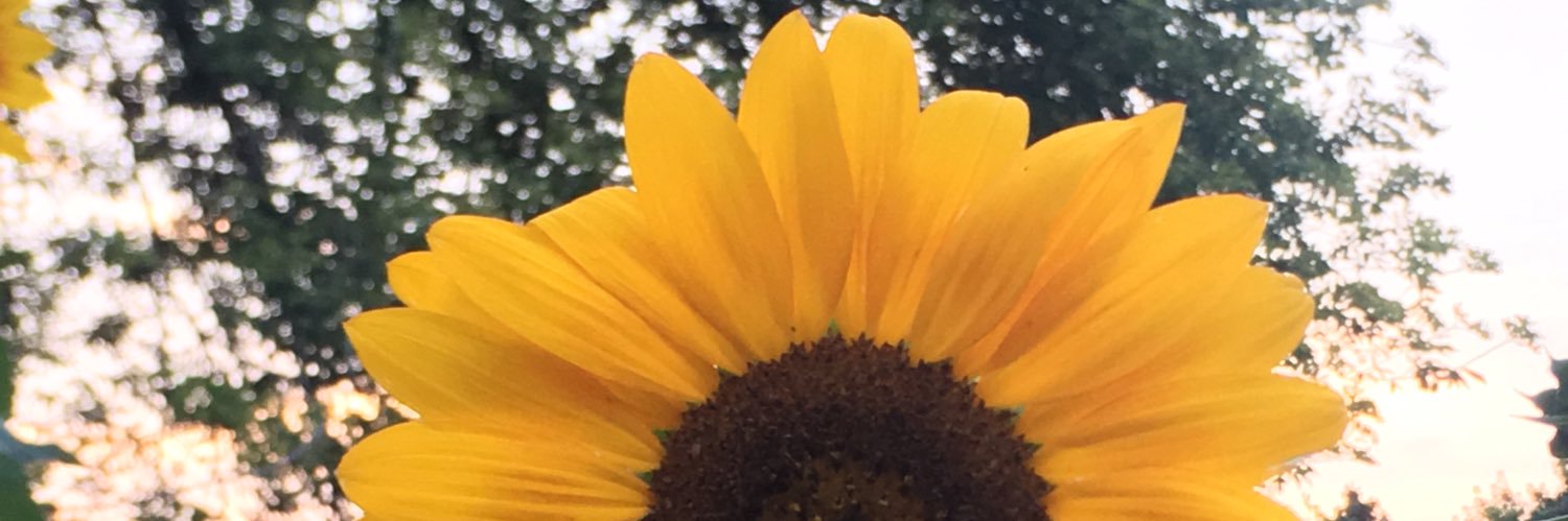 kriskoch12's profile banner image