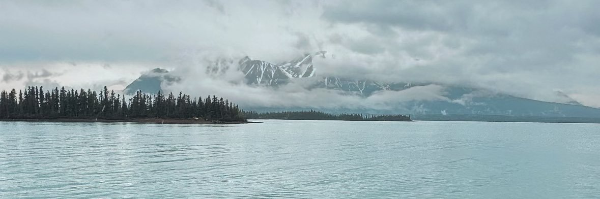 CA_McLaughlin's profile banner image