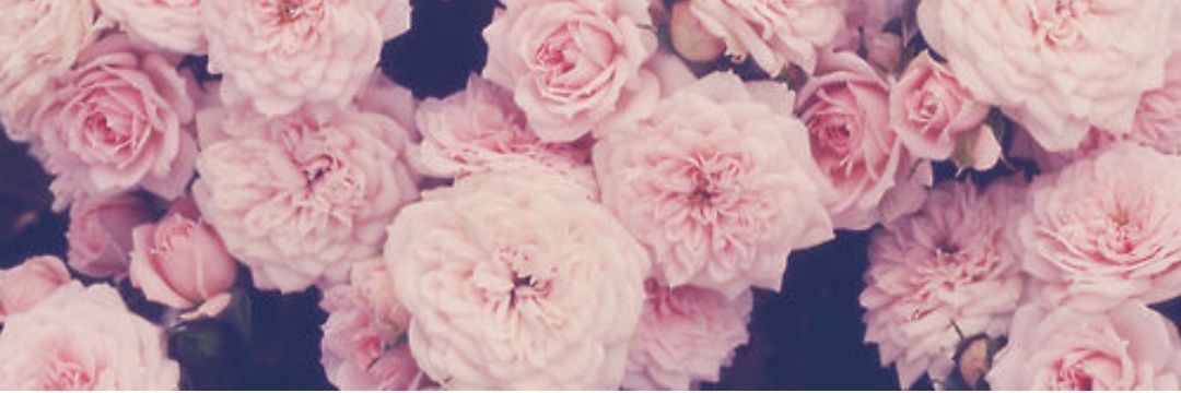 eleonorabells91's profile banner image