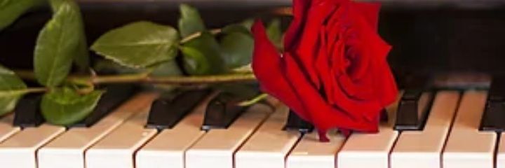 Gcmf_81's profile banner image