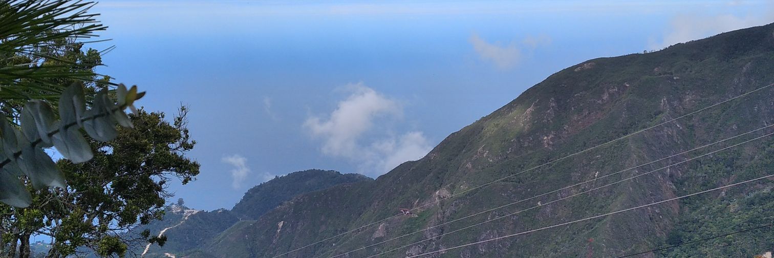 AngeViera's profile banner image