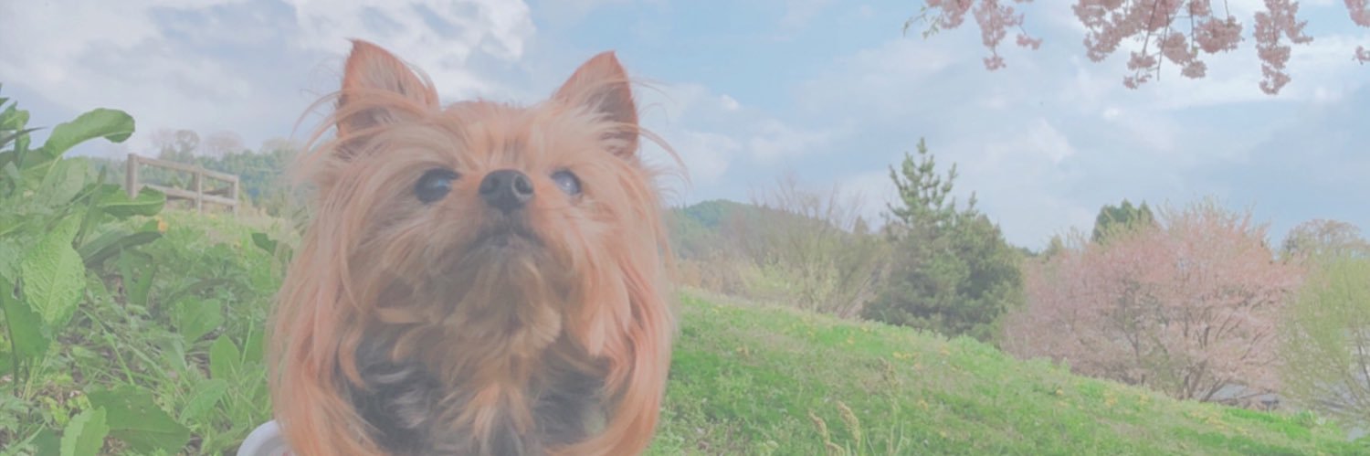 ぁゃ banner