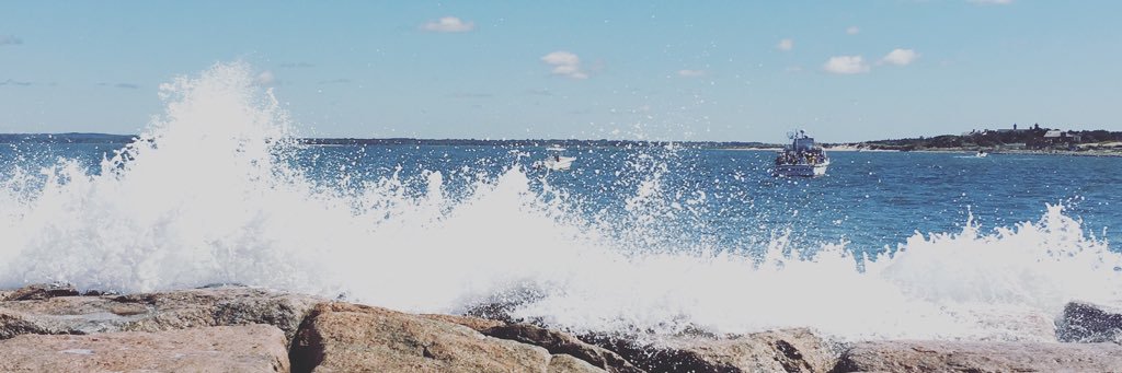MeiGuan_'s profile banner image