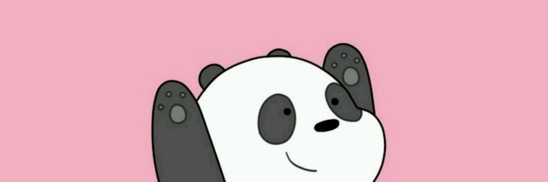 Pidauti's profile banner image