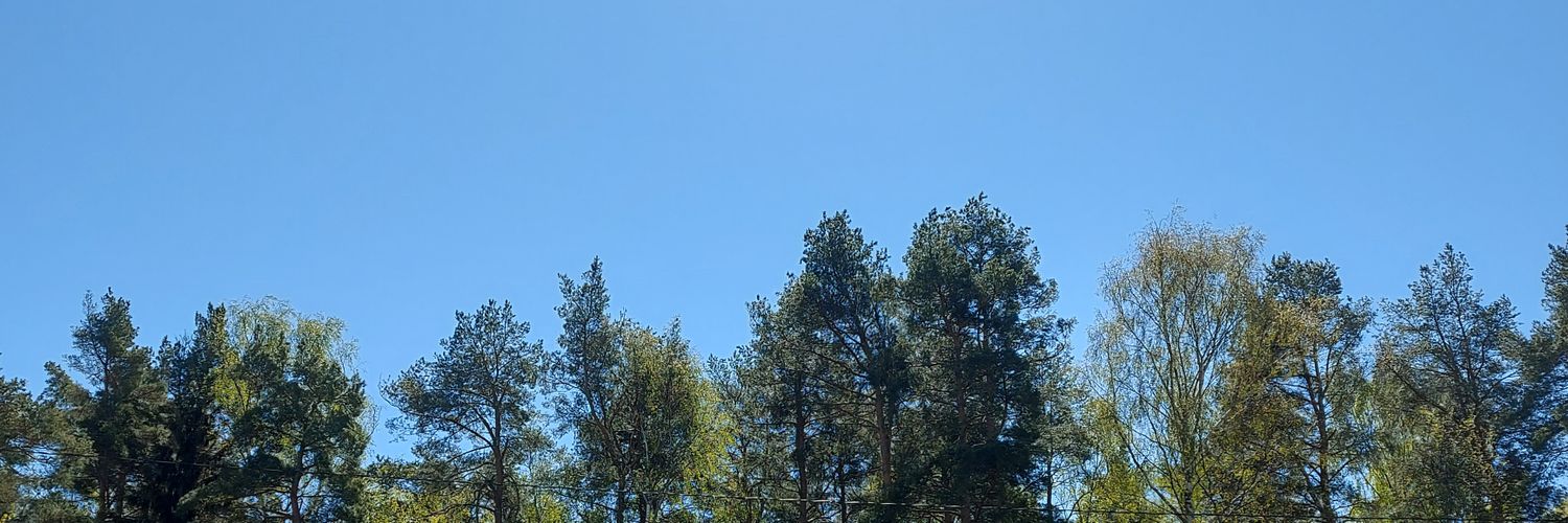 reedreadreid's profile banner image