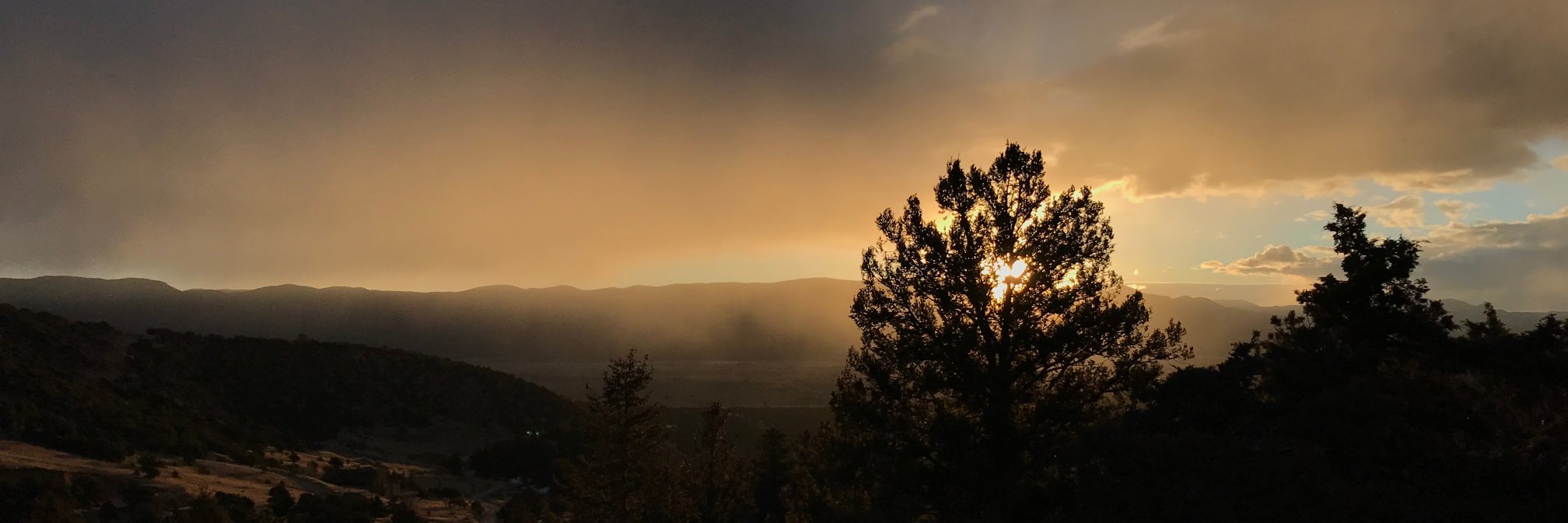 Jorge Dieguez banner