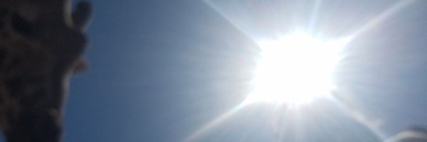 KarenSutterlin Profile Banner