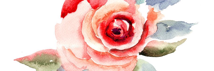 gabirive's profile banner image