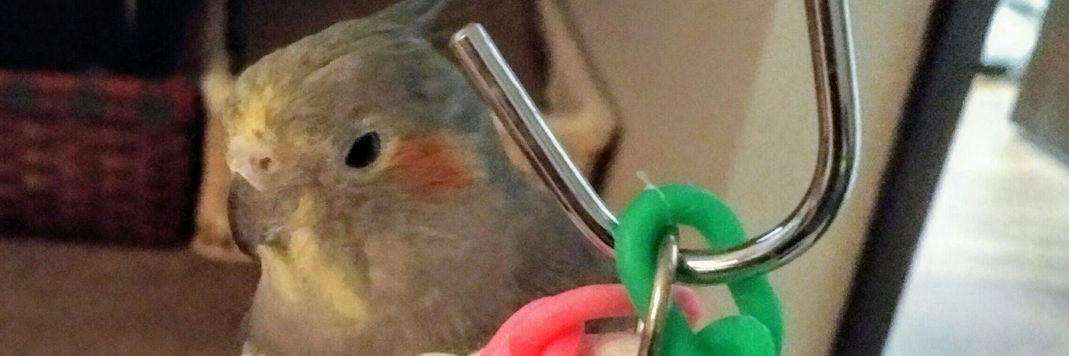 AWildStarly's profile banner image