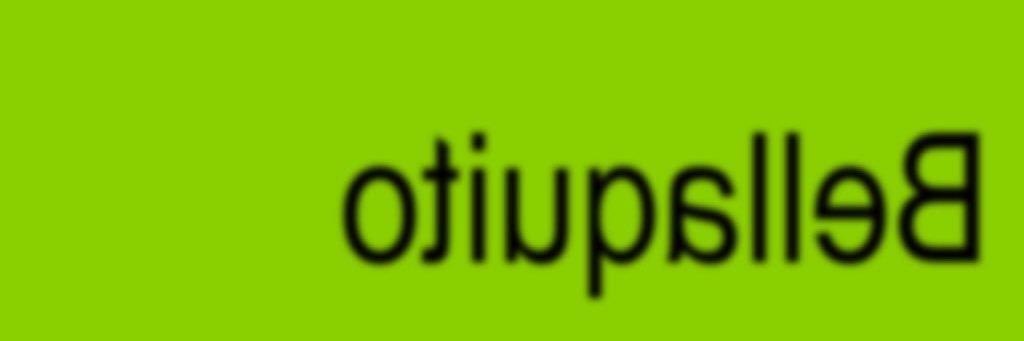 bellaquito banner