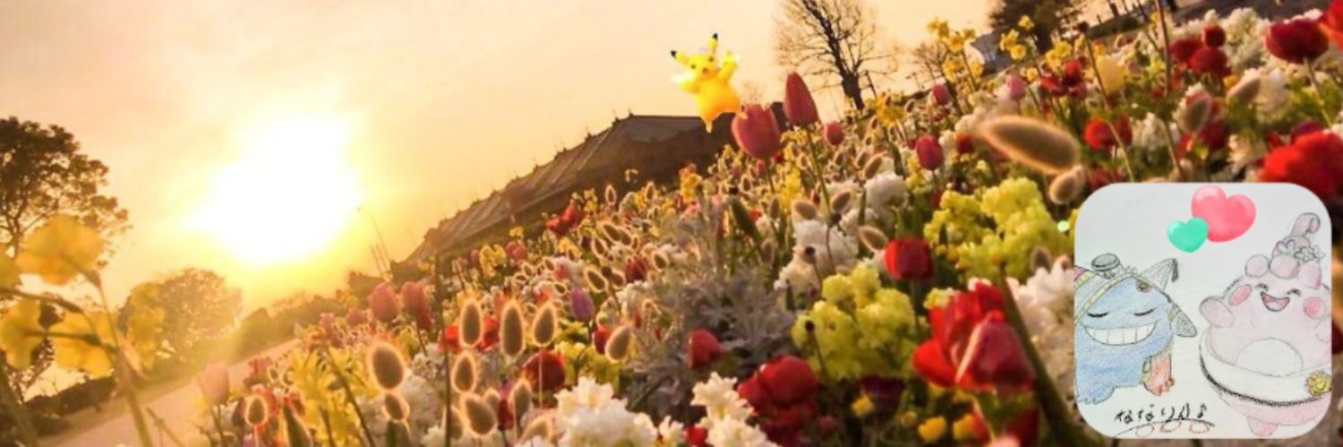 nanarinn422's profile banner image