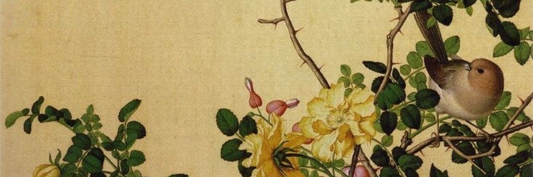 goncaykl's profile banner image