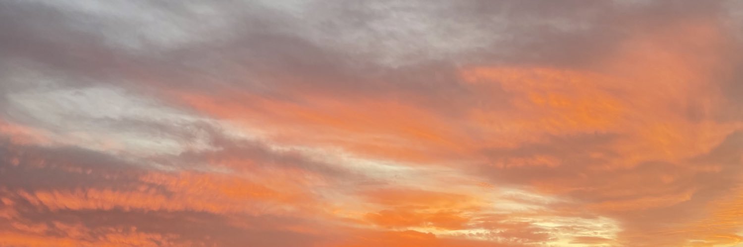 soph_osborn's profile banner image