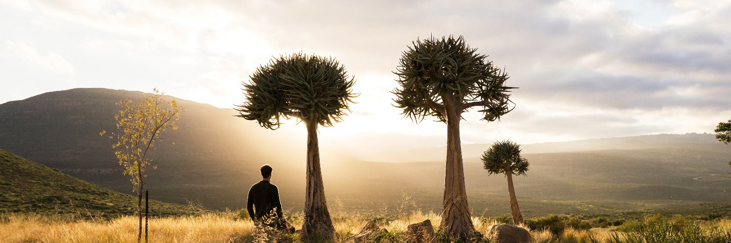 Simbavati Lodge Collection banner