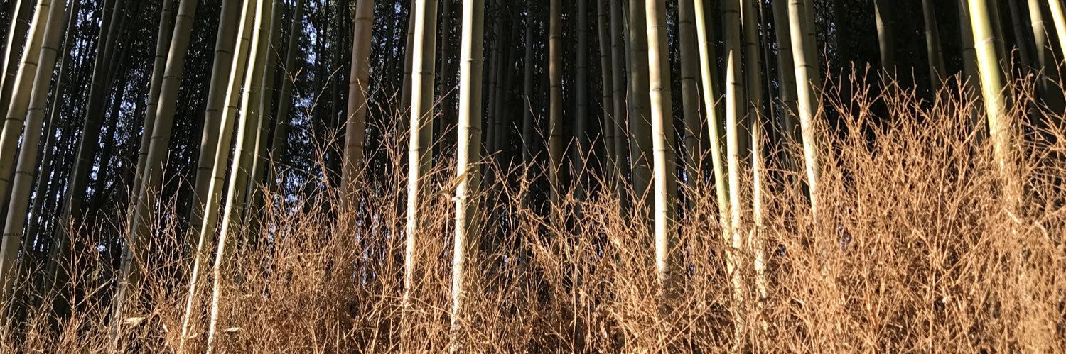 koh_fa06's profile banner image