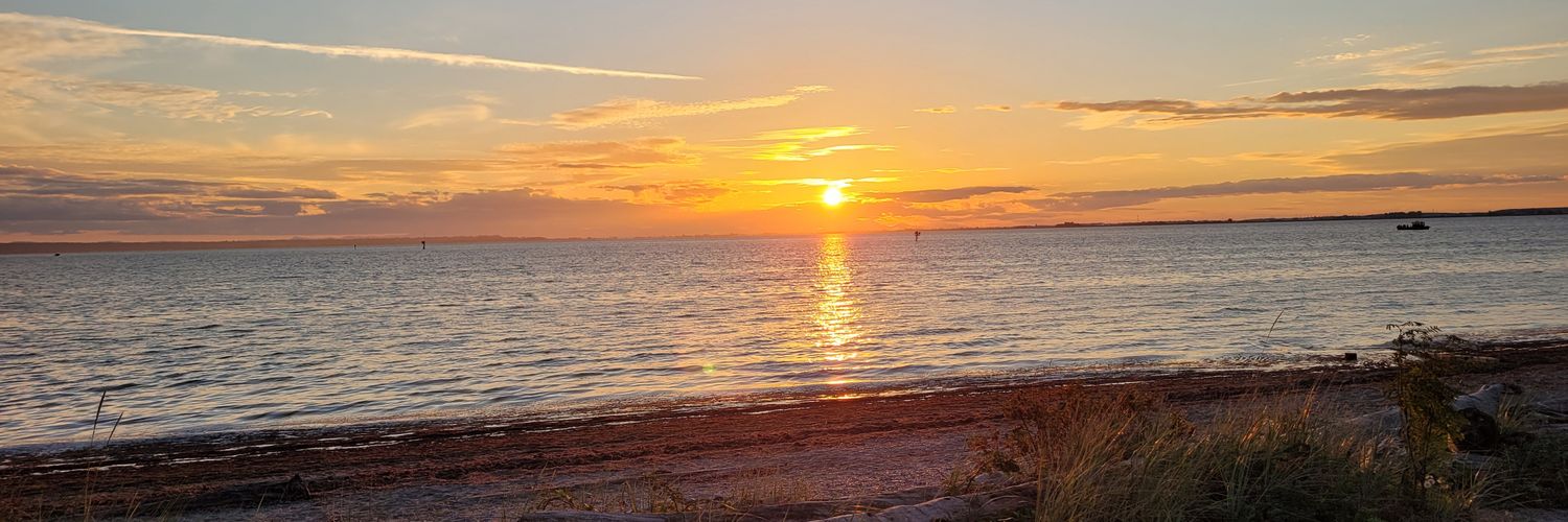 🇨🇦Trope Trooper🇺🇸 banner