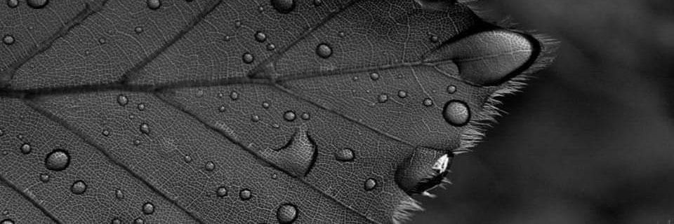 FAliendo's profile banner image
