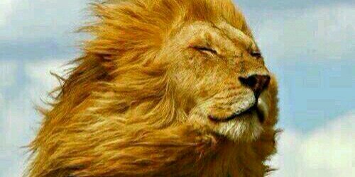 😇WorldRel😈 banner