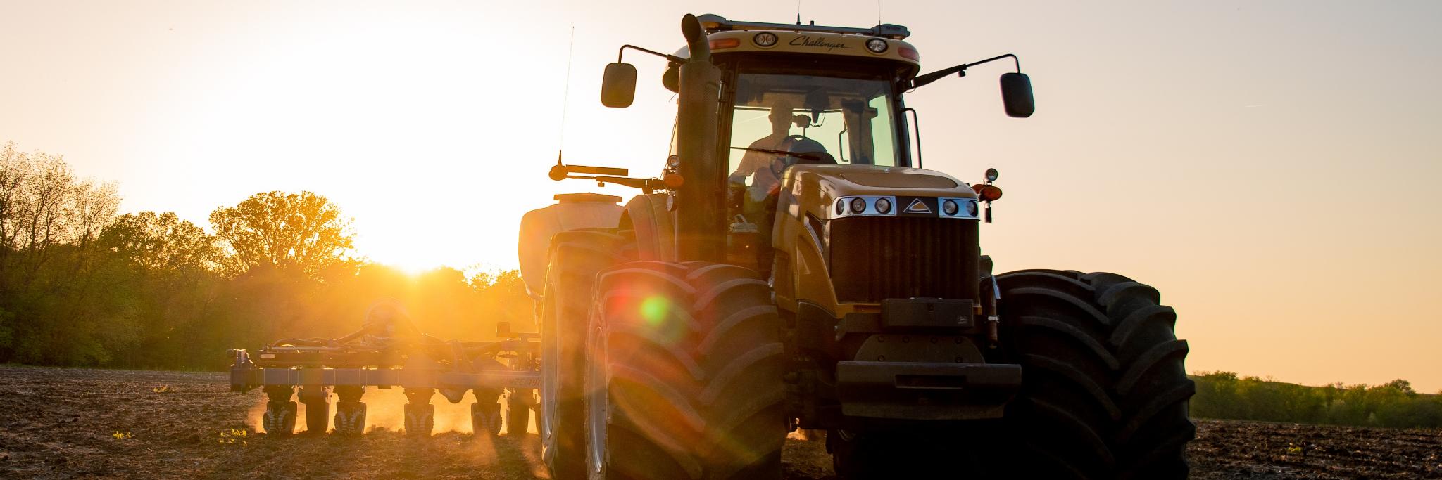 Laura Thompson banner