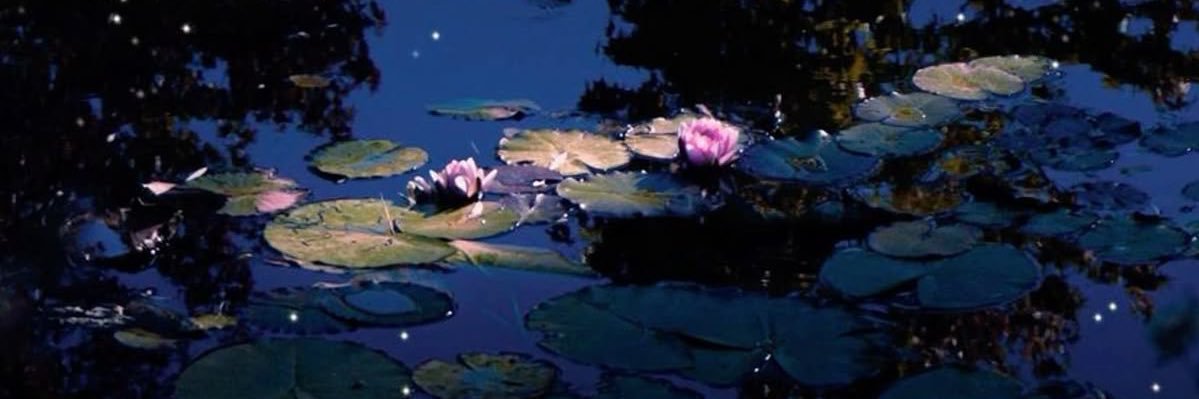 ˚๑ Somi ₊˚๑ | 🪷 banner