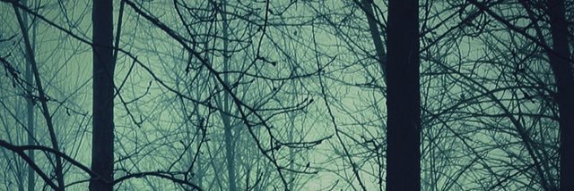 SoWhatIfYouGo's profile banner image