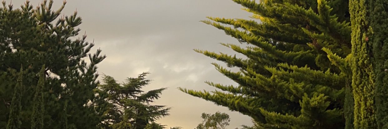 aserene__'s profile banner image
