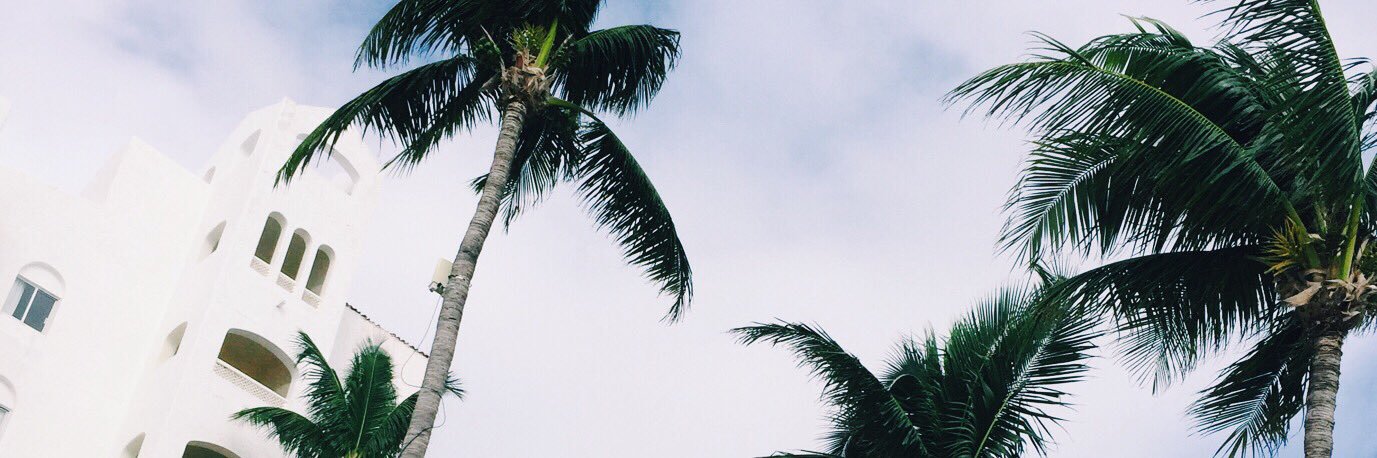 tayruss's profile banner image