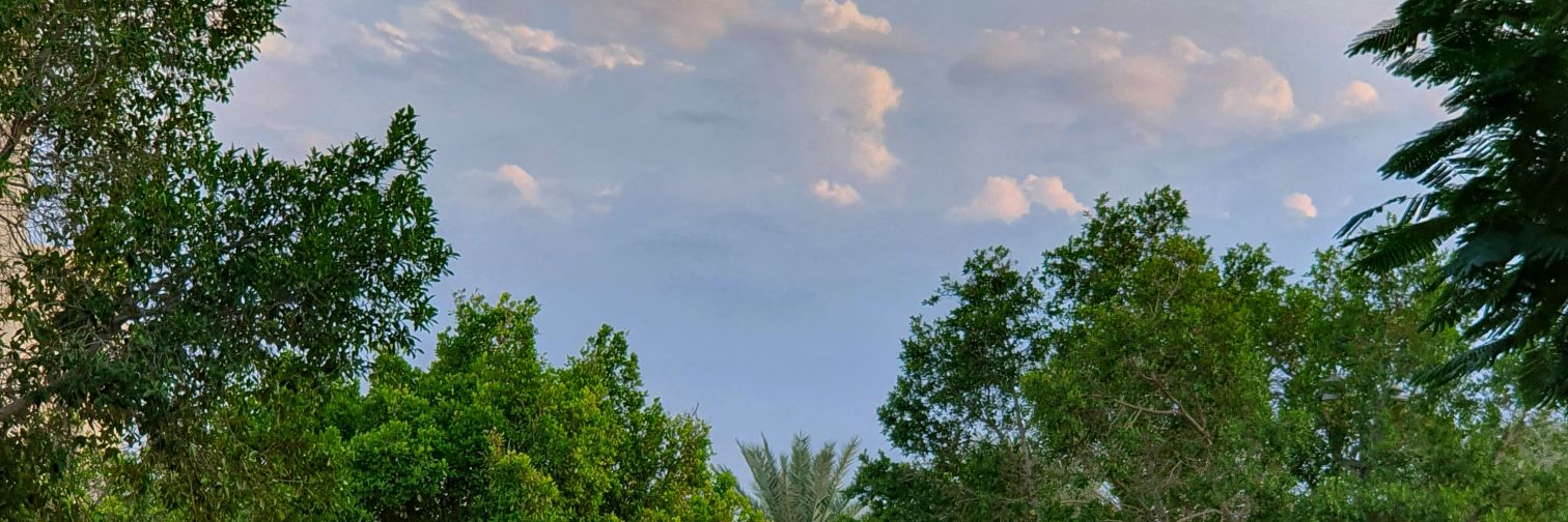 Obada_Imad's profile banner image