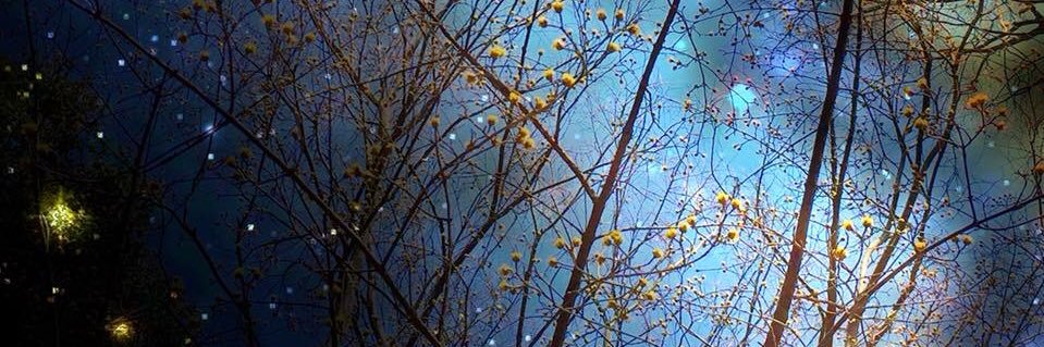 teru_len's profile banner image