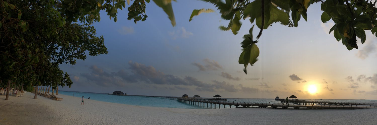 areej__hamad's profile banner image