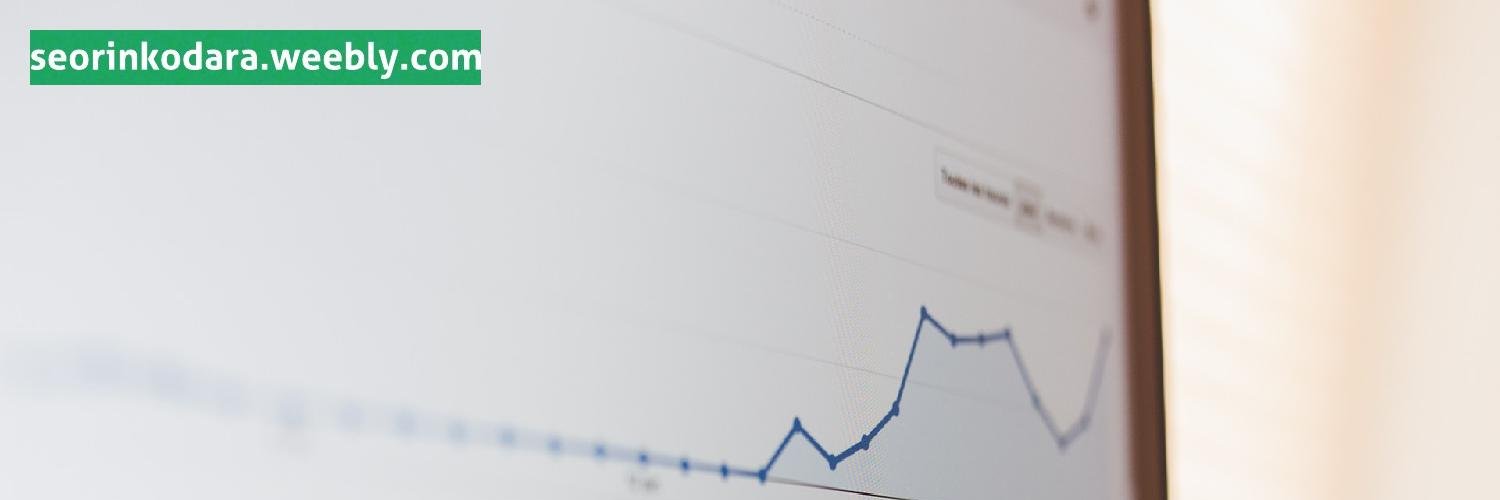 Mindaugas Vaitkus banner