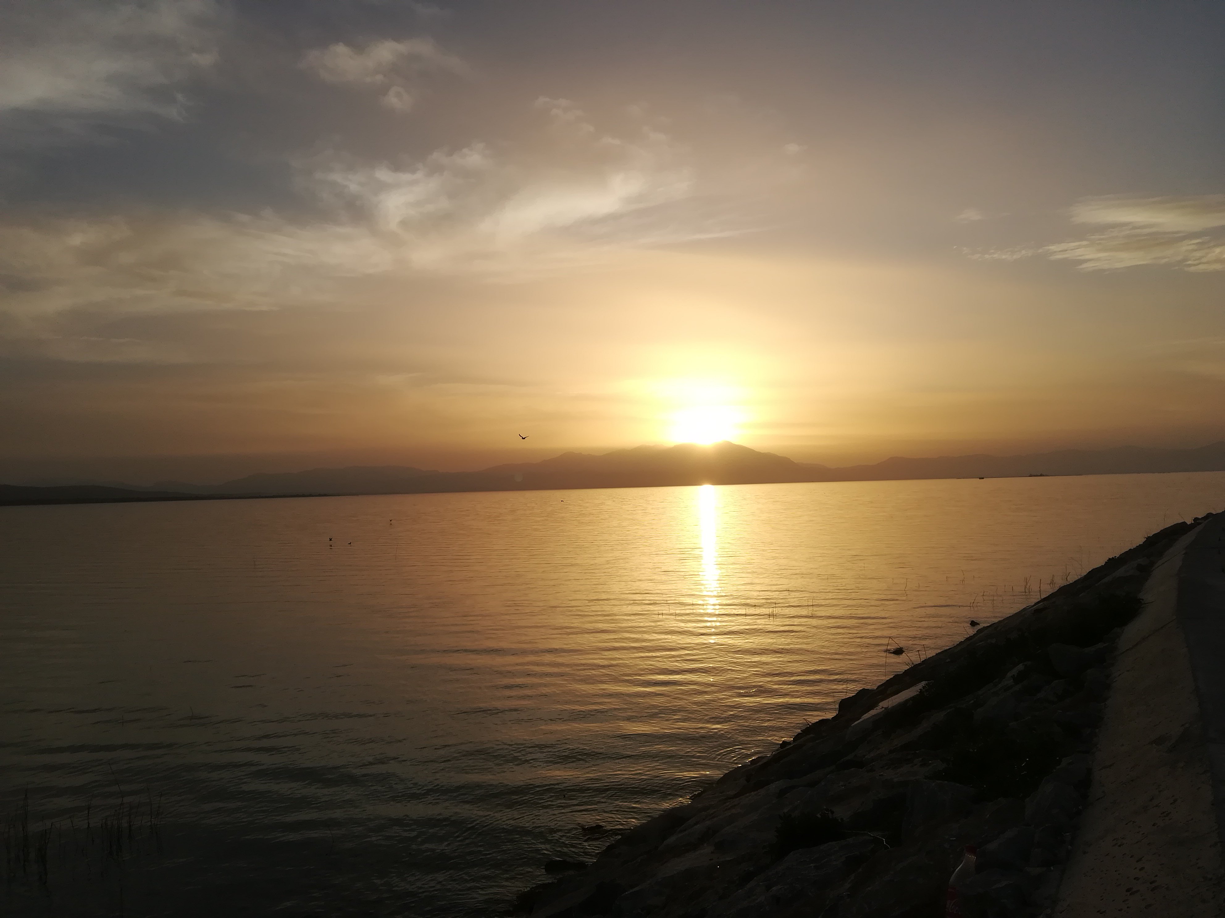 baharoglu52's profile banner image