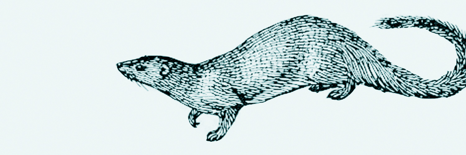mongheuse's profile banner image