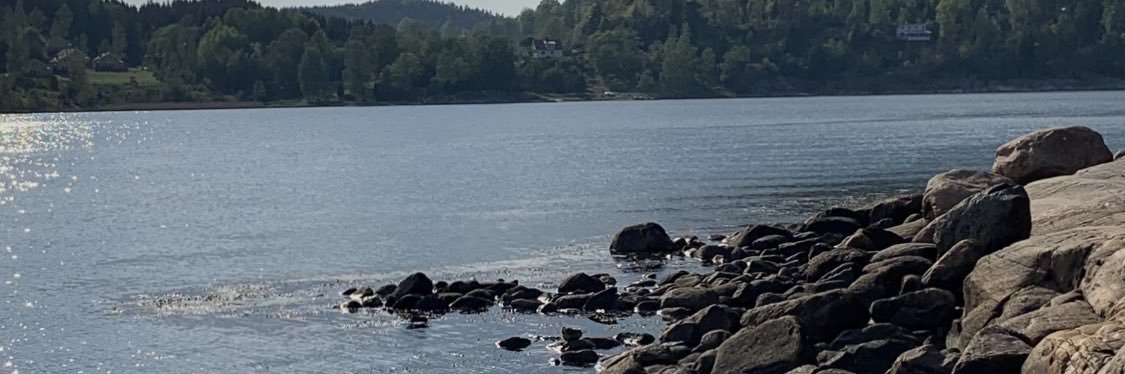 shelllarsen's profile banner image
