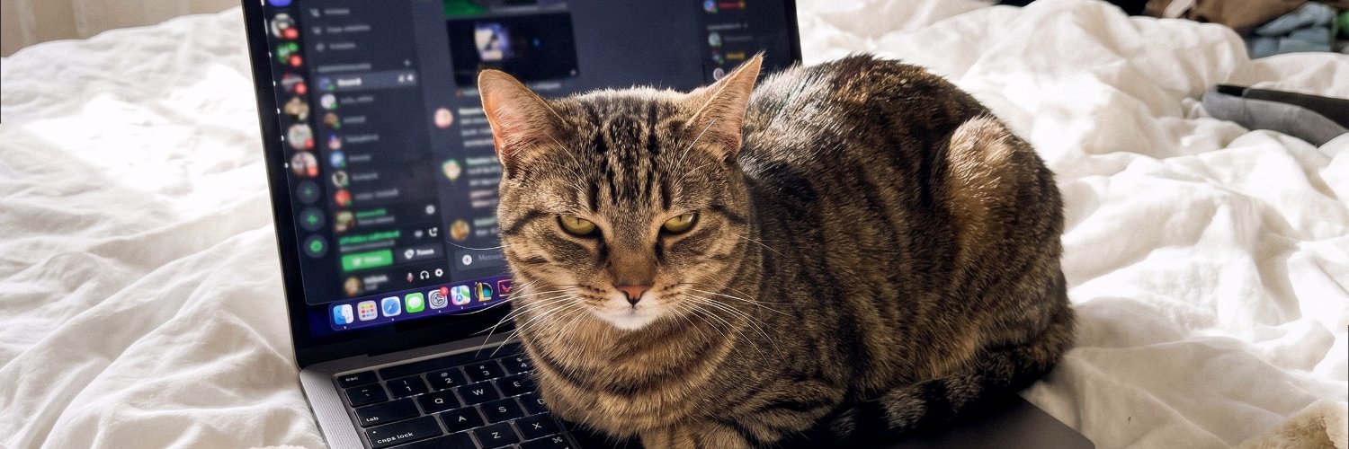sophieecho41's profile banner image