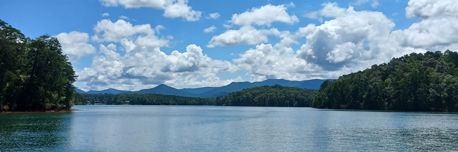 Lakes N Pains banner