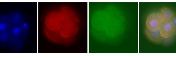 SethMalloyHTL Profile Banner