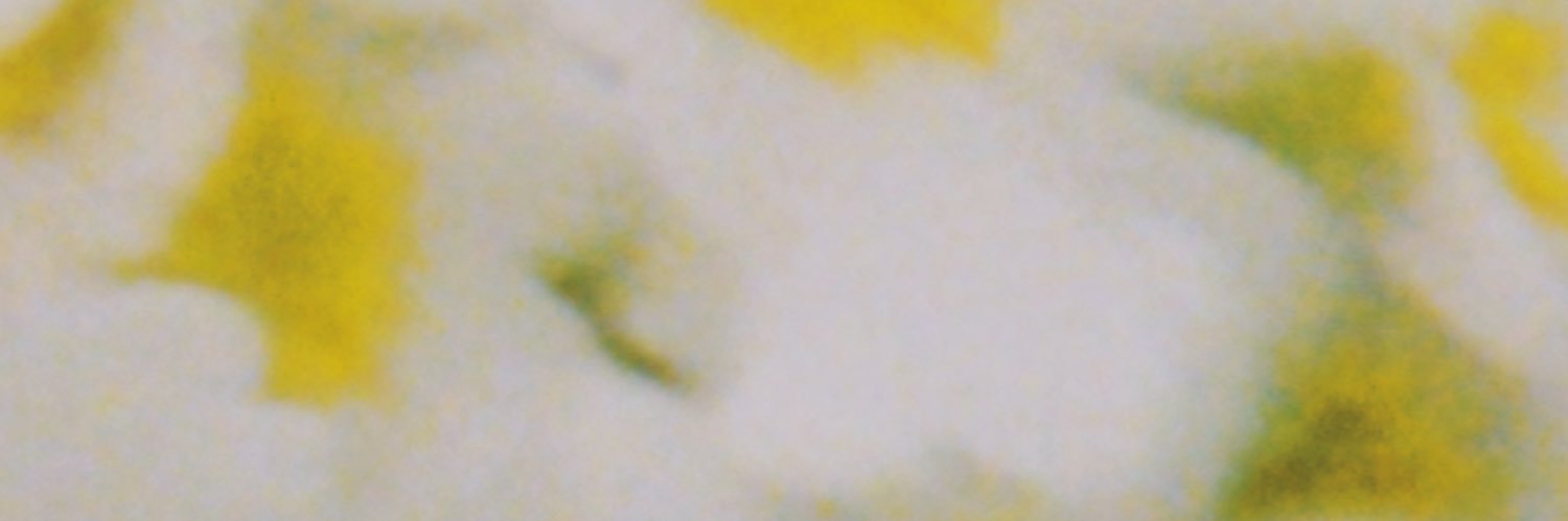 popstrangers's profile banner image