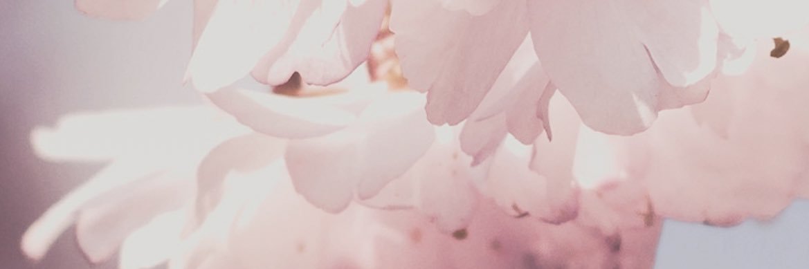 emonmonae's profile banner image